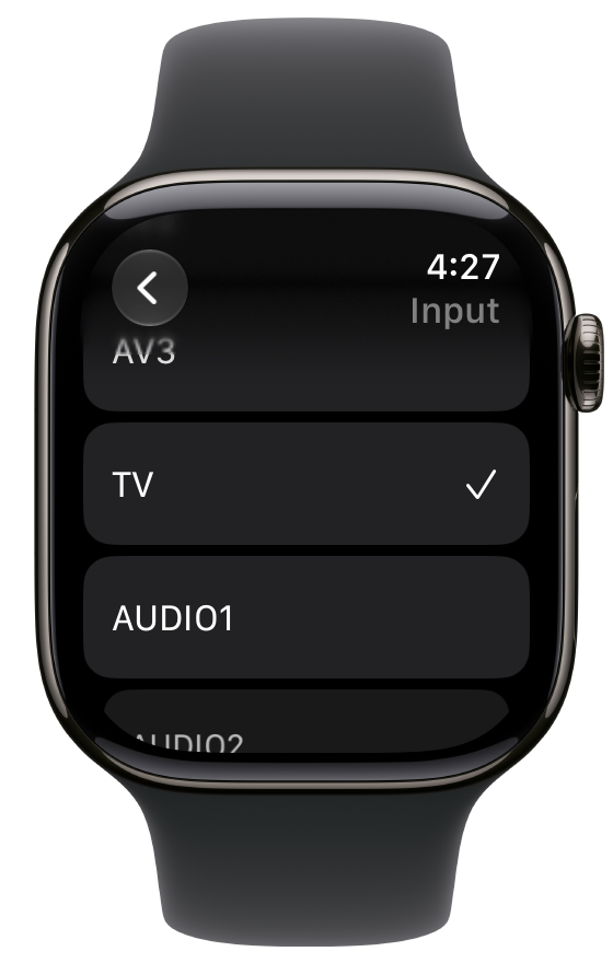 The input list with the current input checked